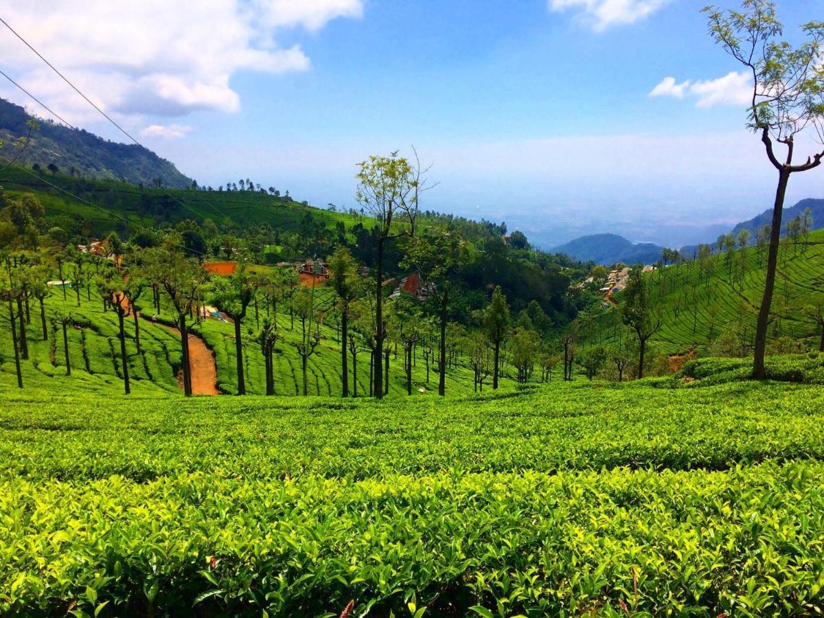 Blusalz Homes - One Lovedale, Ooty - Tamil Nadu Esterno foto